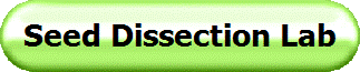 Seed Dissection Lab