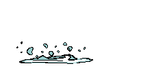 Image result for fish jumping gif